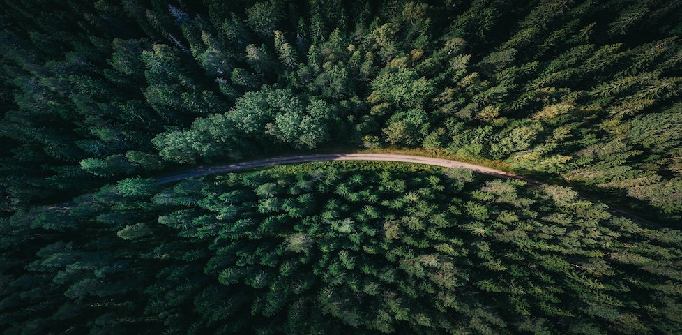 What does sustainable development mean for IT services?